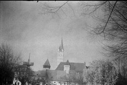 20260509_144726.jpg