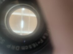IMG_0006.jpeg