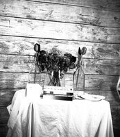 img050.jpg
