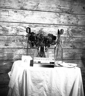 img064.jpg