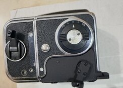 IMG_6586.jpeg