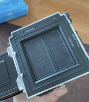 IMG_6591.jpeg