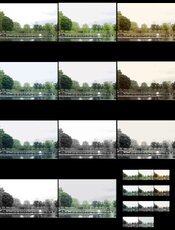 IMG_2010.jpeg