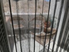 photo.jpg