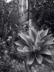 IMG_0326.jpeg