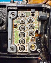 IMG_5866.jpeg