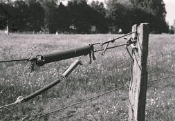 Messenger_creation_EBB3BF16-81E3-4A94-A434-B65913BF5A66.jpeg