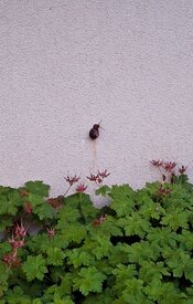 20260518_214159(1)(1).jpg