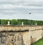 20260519_121719(1).jpg