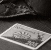 EOS3-PanatomicX-137a-crop.jpeg