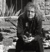X570-Tri-X-006a-crop.jpeg