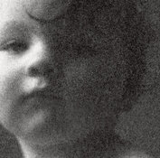 Mamiya-2484-154-crop.jpeg