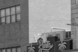 2026-11-09crop.jpg