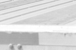 2026-11-02Crop.jpg
