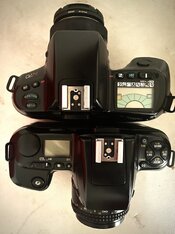 IMG_2374.jpeg