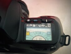 IMG_2379.jpeg