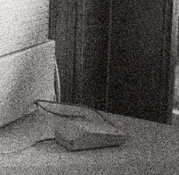 Autorex-4X-Hc110C-Iso12-483-crop.jpeg
