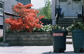 yardwasteonly_3570_jpg.jpg