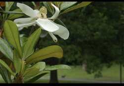 IMG_2441.jpeg