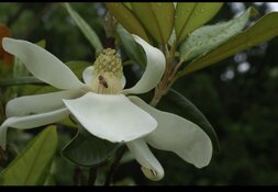 IMG_2442.jpeg