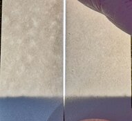 IMG_1022.jpeg IMG_1022.jpeg