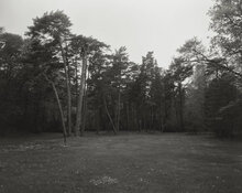 img_1_1780066034944.jpg