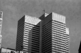SHD100 mottle.jpg