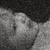 DemiEE17-4X-289b-crop.jpeg