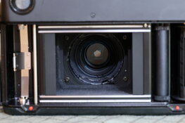 BZ6A7694.JPG