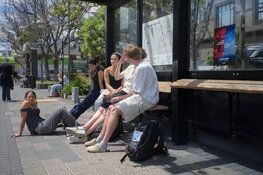 GROK dsc00193.jpg