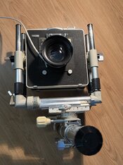 IMG_9019.jpeg