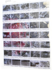 DSCN1881.JPG