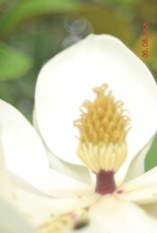 IMG_2862.jpeg