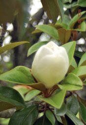 IMG_2863.jpeg