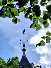 20260609_163502.jpg