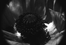 20260525_163914.jpg