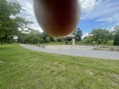 IMG_2916.jpeg