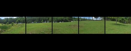 IMG_2943.jpeg