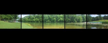 IMG_2942.jpeg