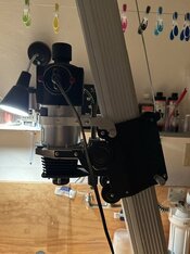 IMG_7389.jpeg