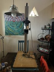 IMG_7391.jpeg