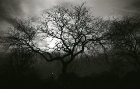 img001.jpg