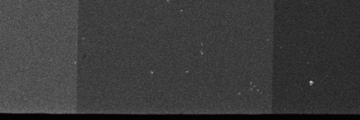 12-4-XTOL.jpg