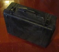 pelican1.jpg