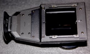 IMG_0974.jpg