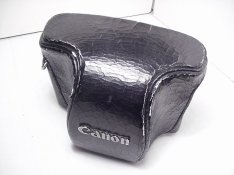 Canonet Case 1.JPG