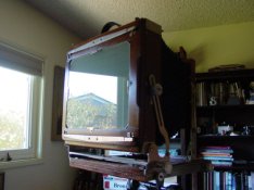 DSC01780.JPG