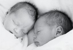twins.jpg