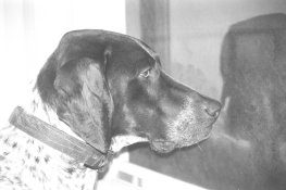 AAA021.jpg AAA021.jpg