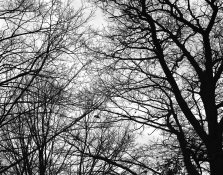 img334.jpg